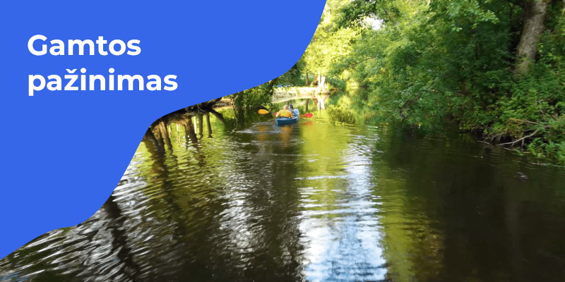 Plaukimas baidarėmis padės vaikams susipažinti su gyvąja gamta