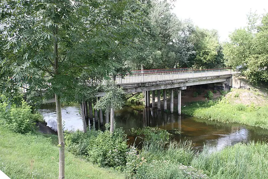 dubinga nuotrauka 1