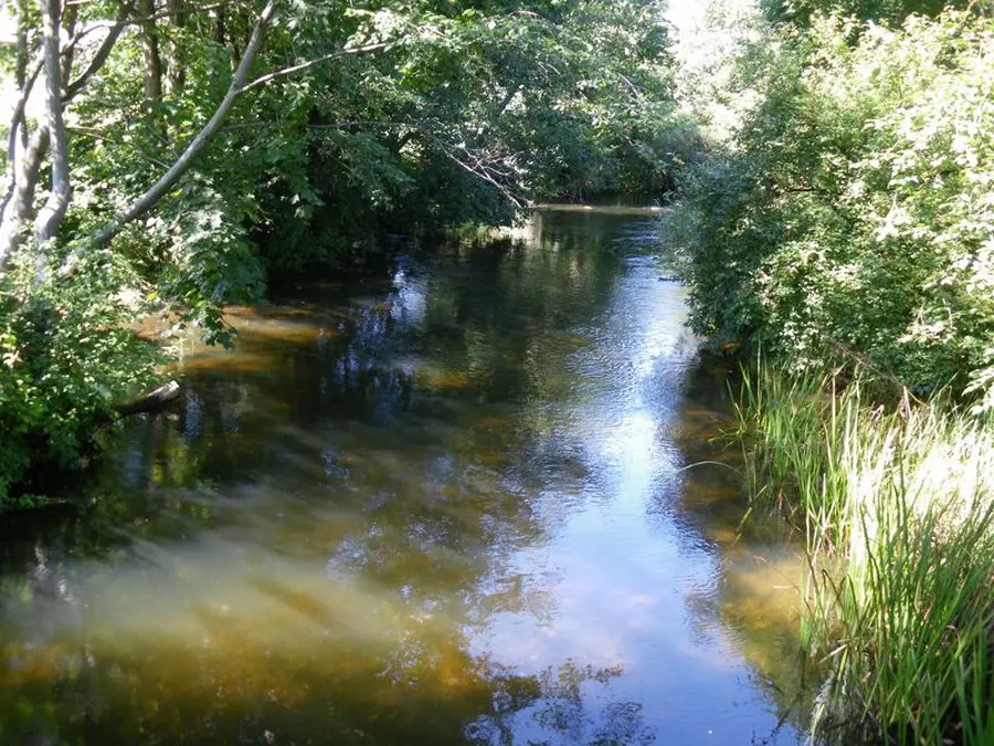 dubinga nuotrauka 2