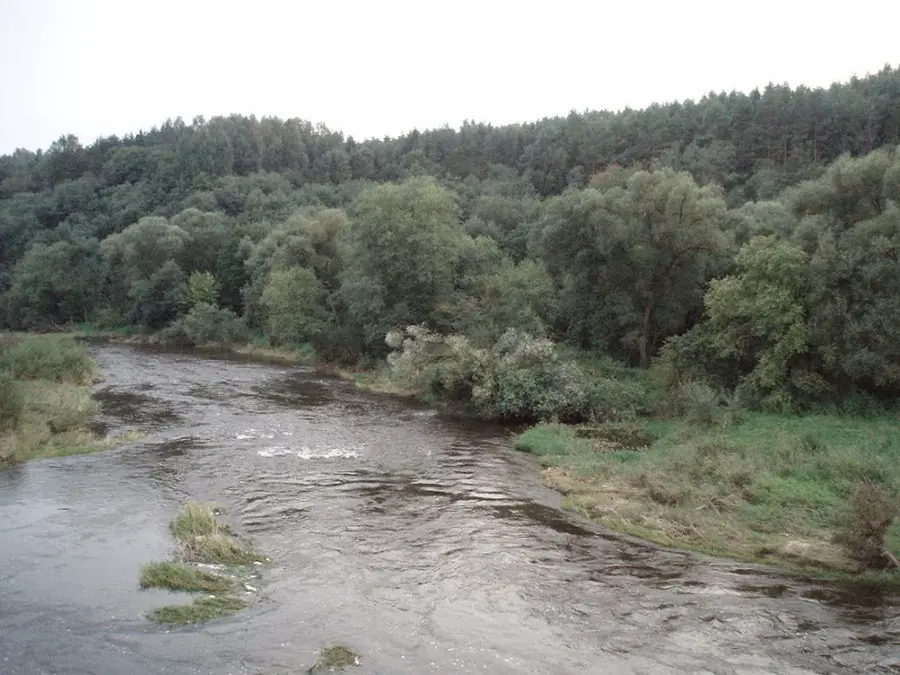 dubysa nuotrauka 1