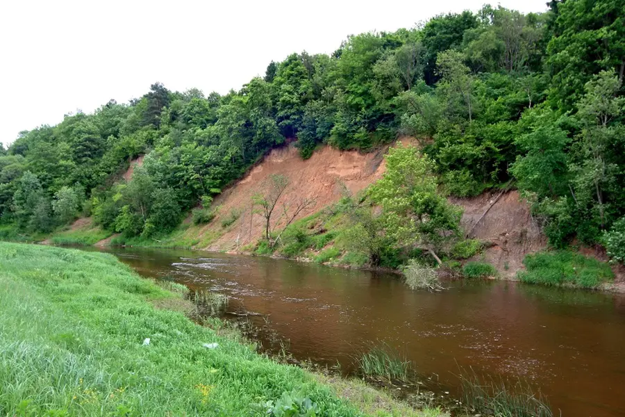 dubysa nuotrauka 2