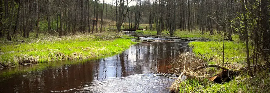 gruda nuotrauka 2