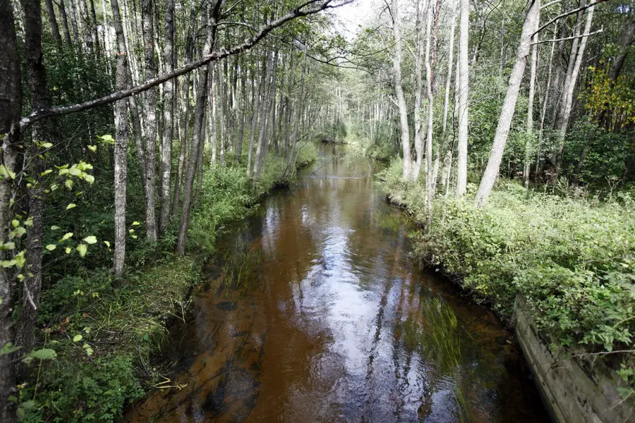 gruda nuotrauka 3