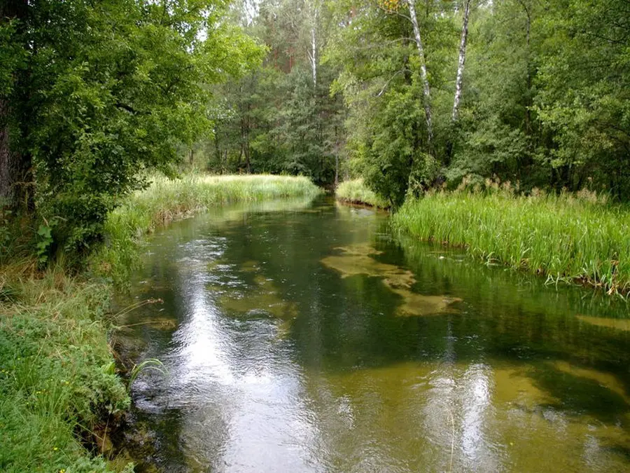 lakaja nuotrauka 1