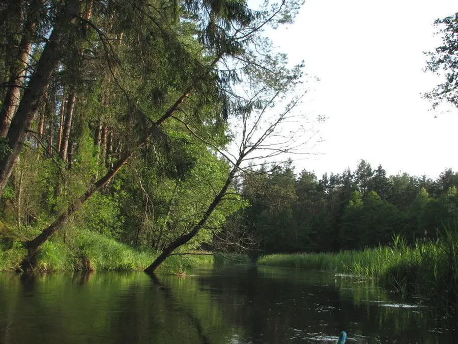 lakaja nuotrauka 2
