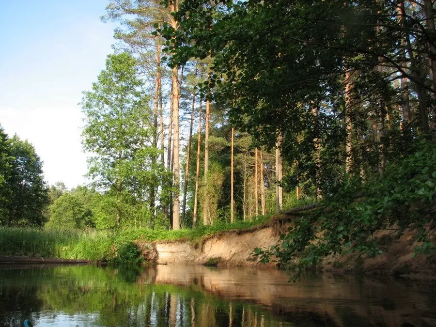 lakaja nuotrauka 4