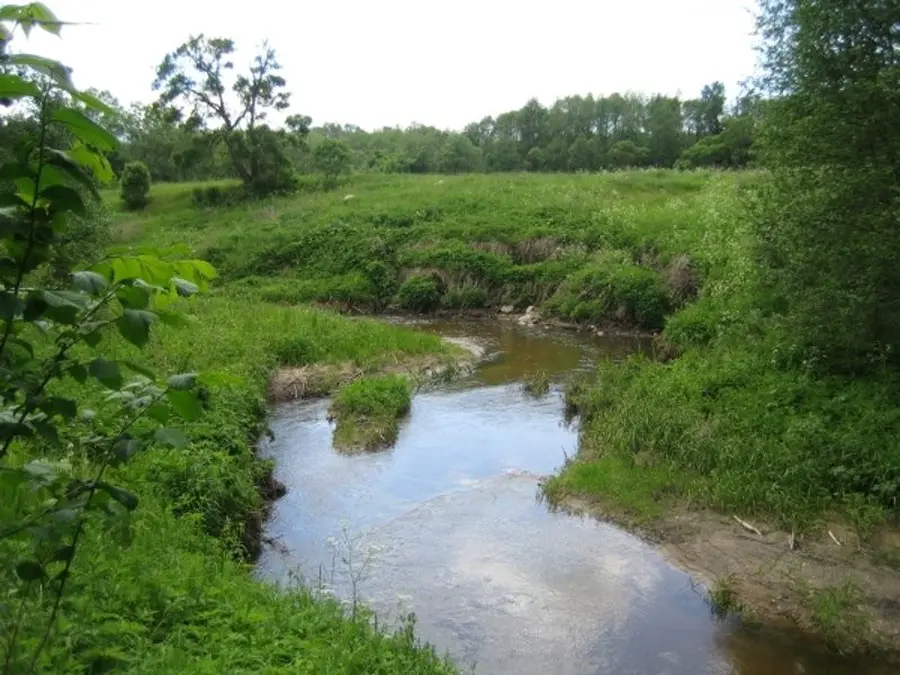 laukysta nuotrauka 1