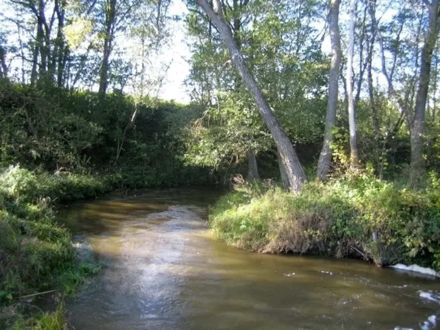 laukysta nuotrauka 2