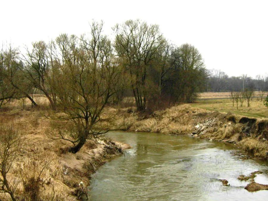 sesuvis nuotrauka 2