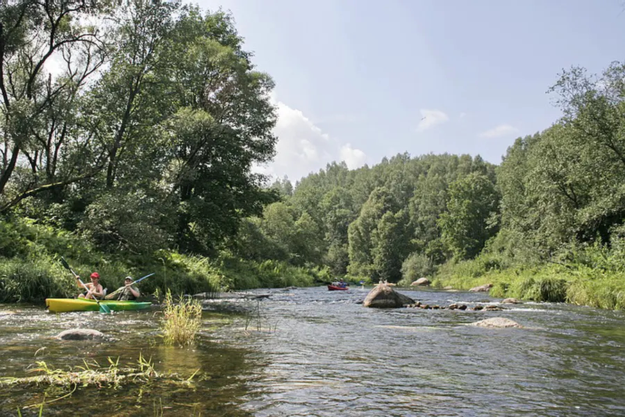 sirvinta nuotrauka 3