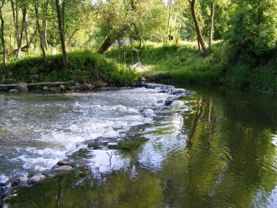 streva nuotrauka 3