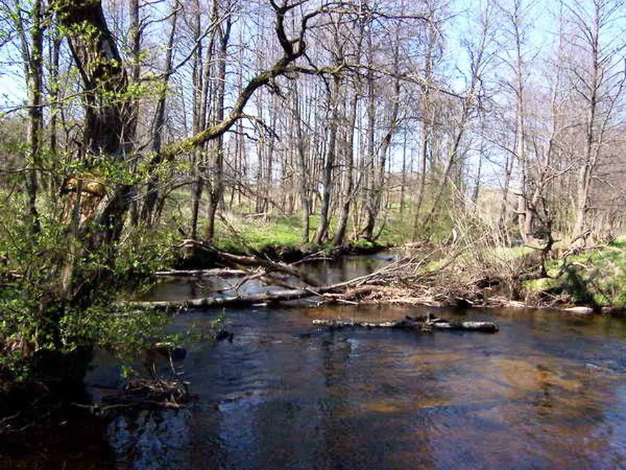 verseka nuotrauka 1