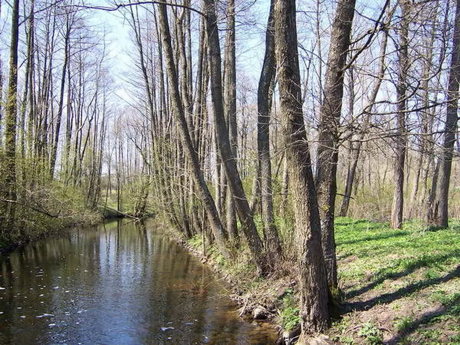 verseka nuotrauka 2