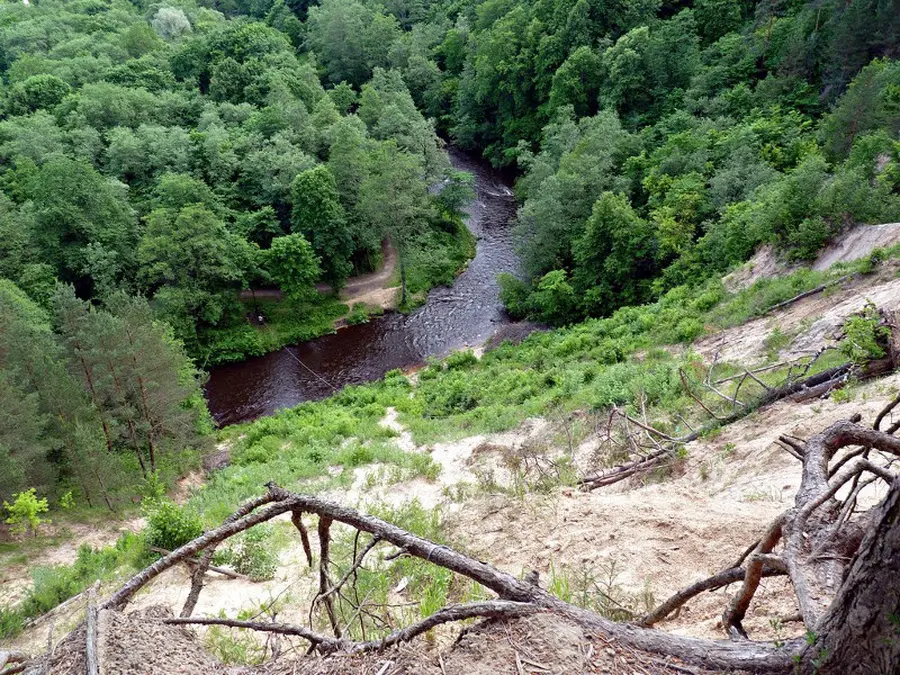 vilnele_vilnia nuotrauka 1