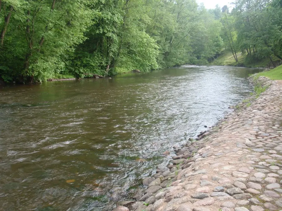 vilnele_vilnia nuotrauka 4
