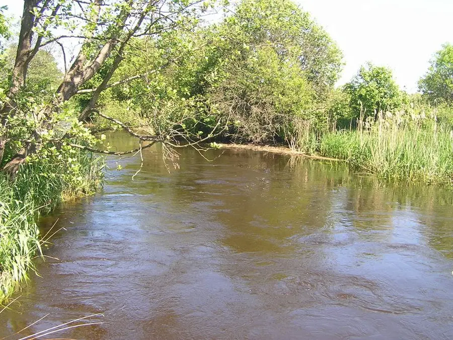 voke nuotrauka 2