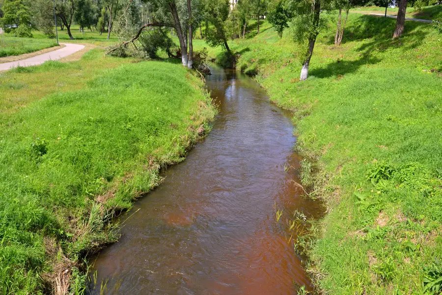 vyzuona nuotrauka 1