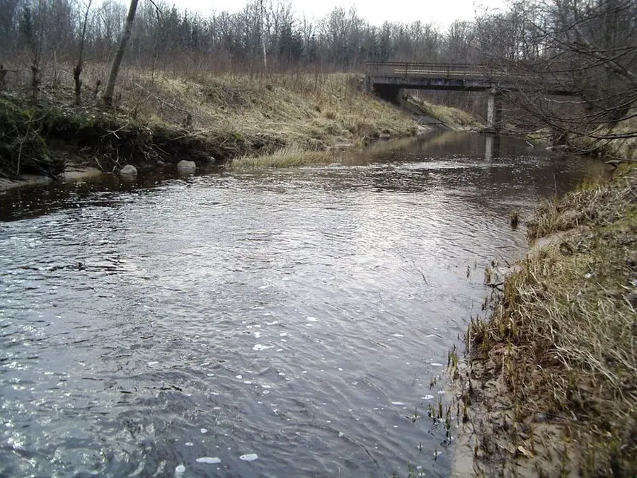 zvelsa nuotrauka 1