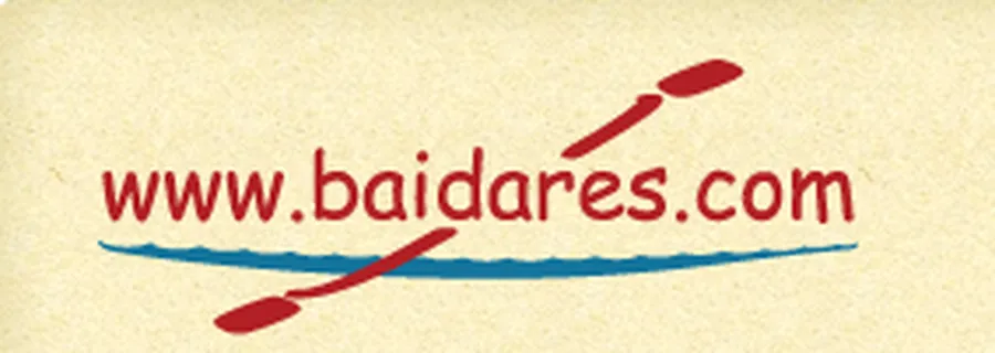 baidares.com logotipas