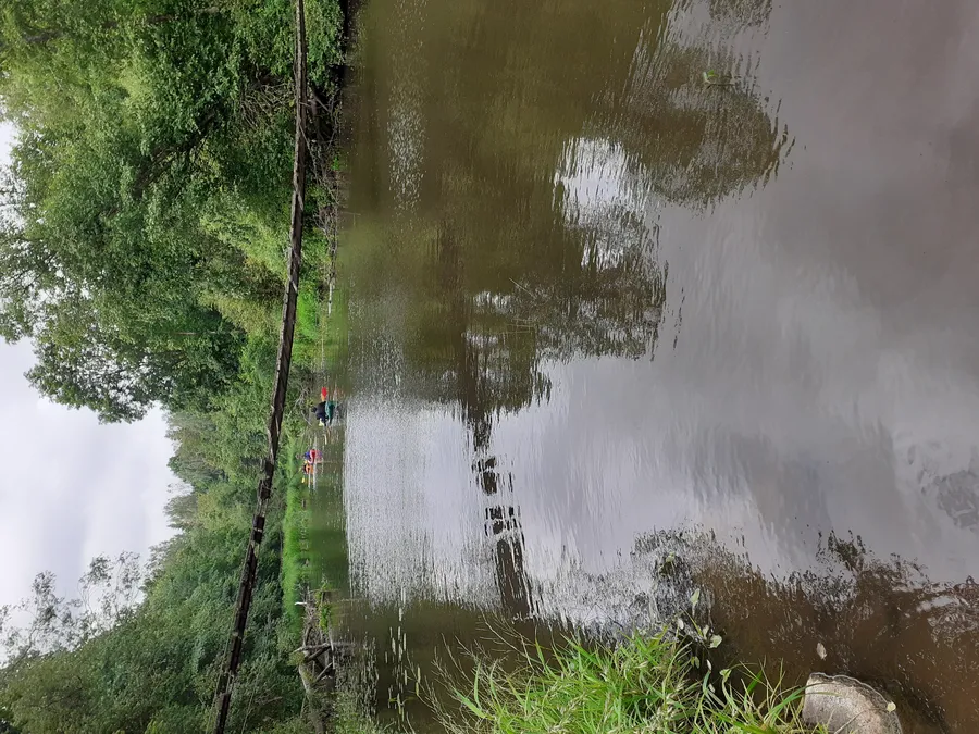 Paragaudžio Baidarės logotipas