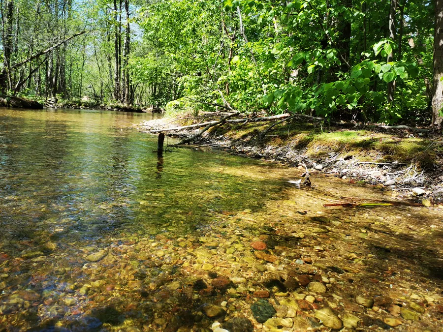 Nuotrauka, vaizduojanti baidarių maršrutą