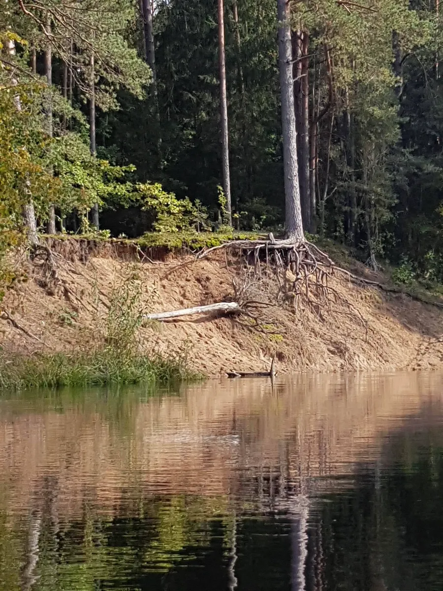 Nuotrauka, vaizduojanti baidarių maršrutą