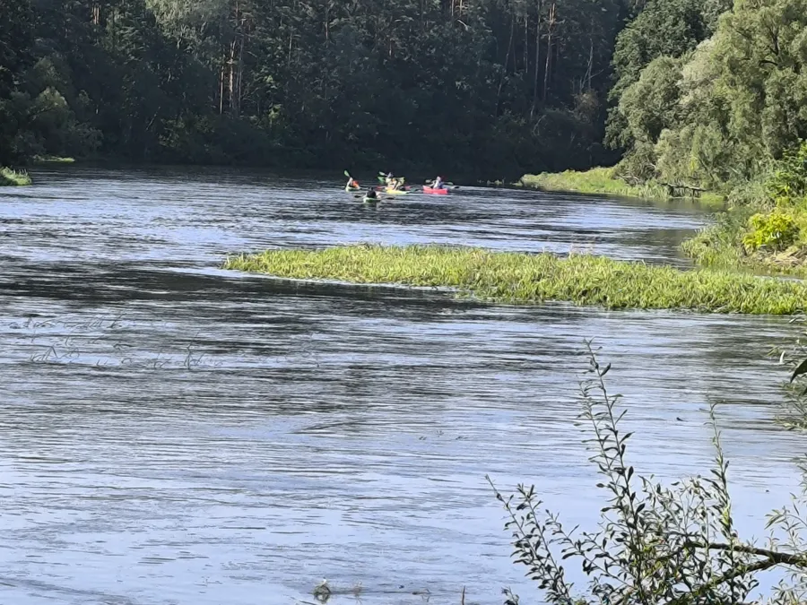 Nuotrauka, vaizduojanti baidarių maršrutą