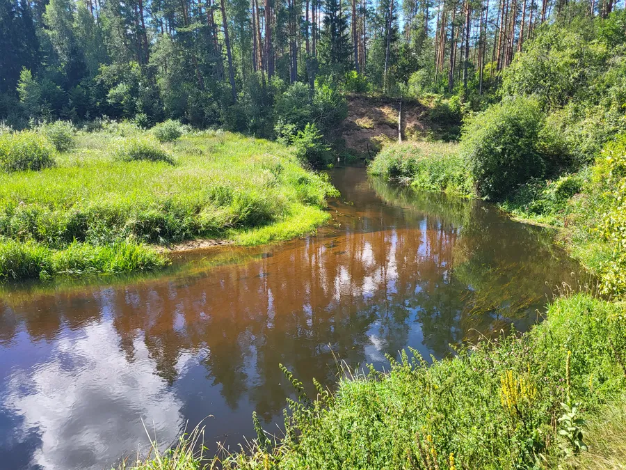 Krokšlys - Rudnia